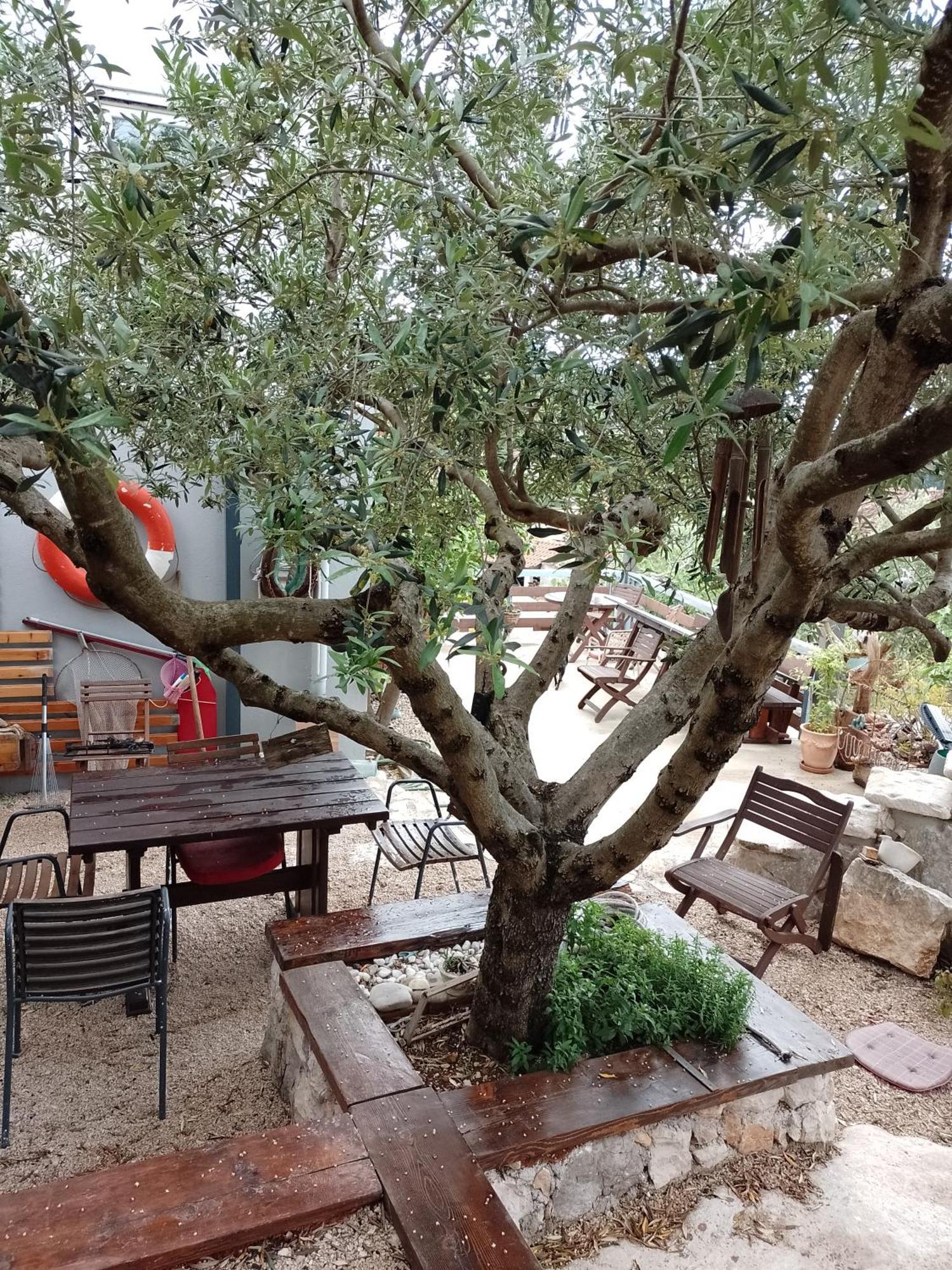 Roberto Apartment Bacina 외부 사진